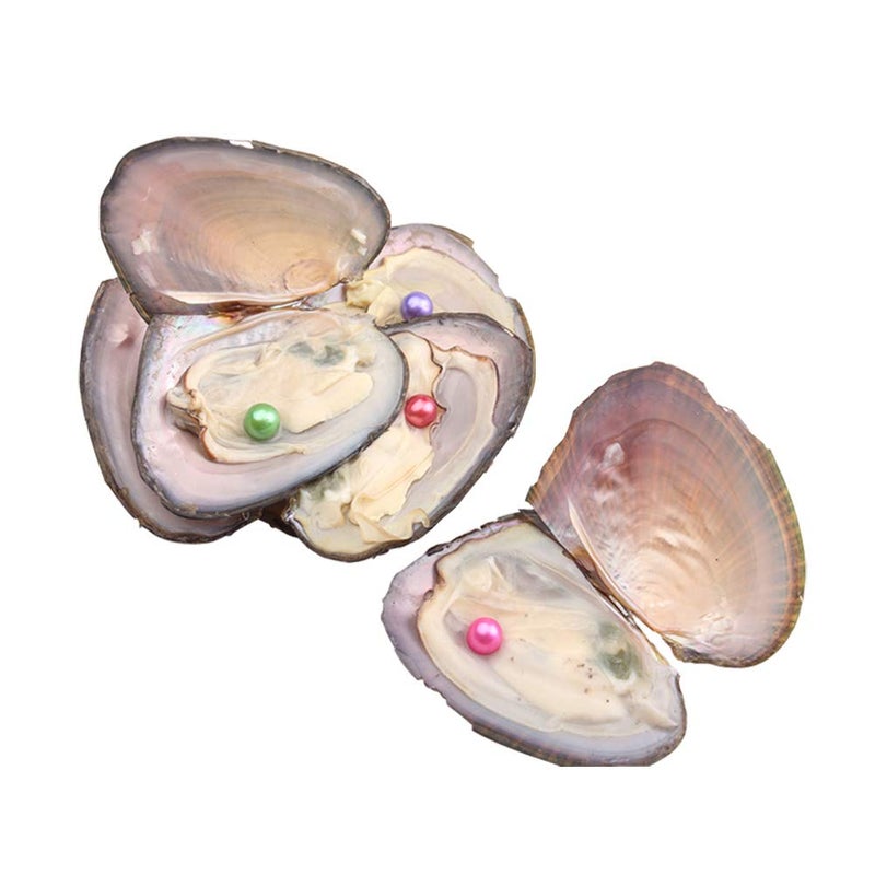 JNMM Freshwater Pearl Oyster Cultured Love Wish Round Pearls Various 10 Shining Meaningful Color, Oysters with Pearls Inside (6-8mm, 10 PCs/lot) - Image 2